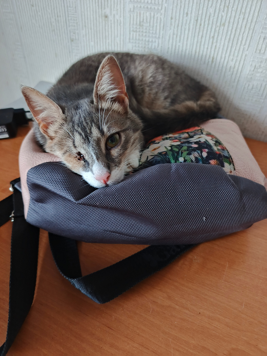 Мой одноглазый цветочек в цветочках)