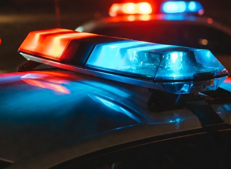    В Оренбурге полицейские изъяли незаконно проданную винтовку Оренбуржье