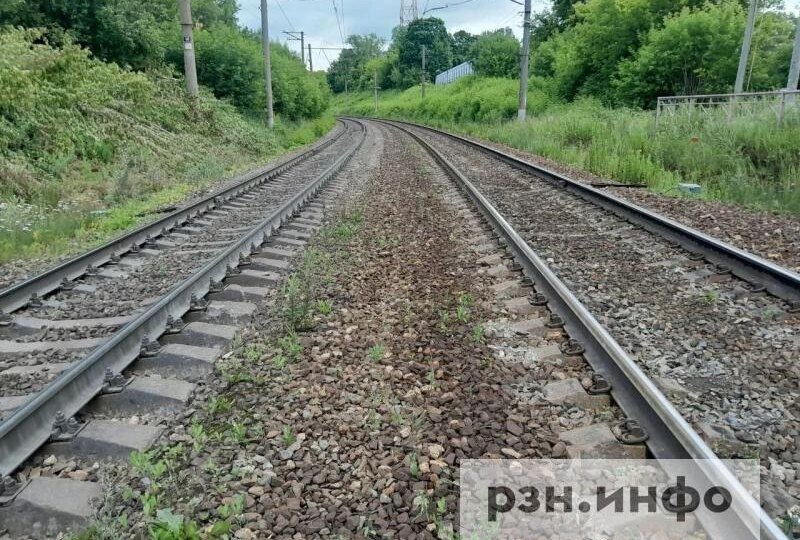 11 пассажирских поездов, проходящих через Рязанскую область, задержаны в пути