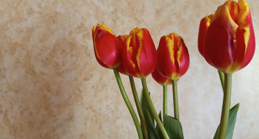    Фото редакции