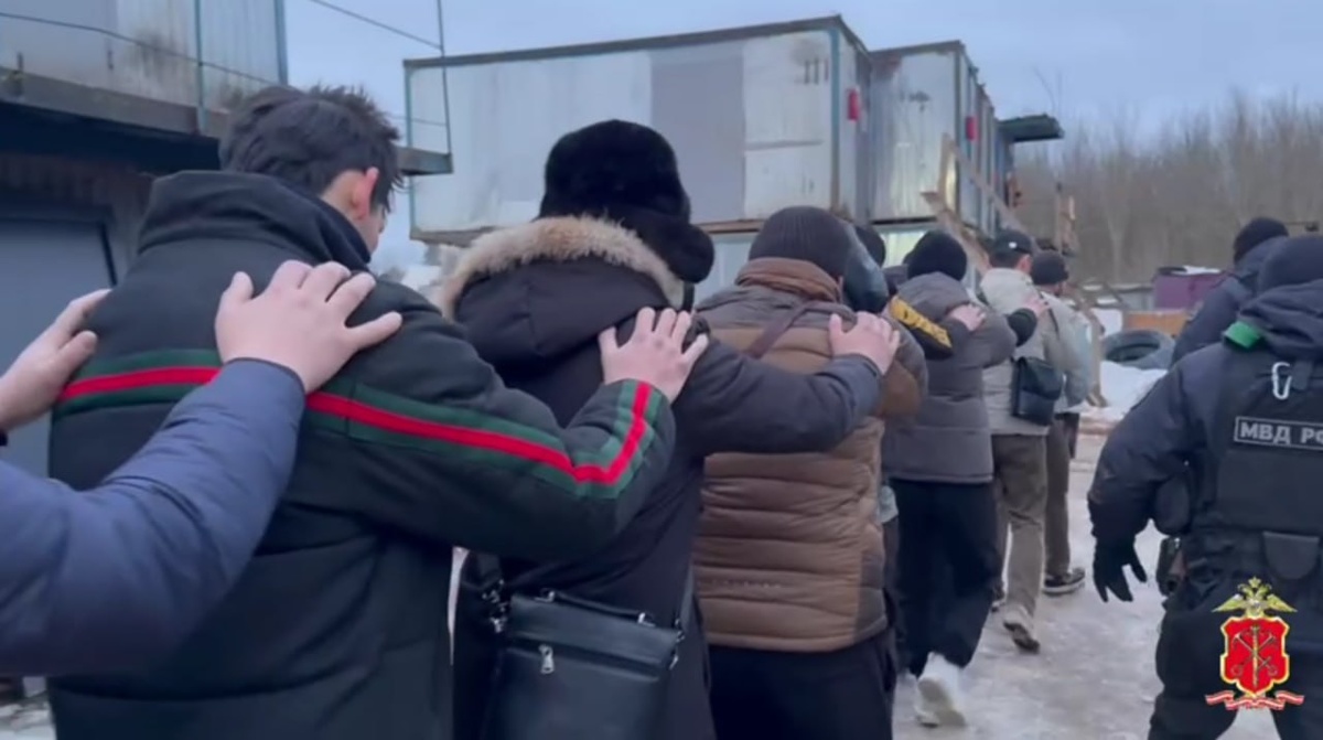    Рейд мигранты Ленобласть
