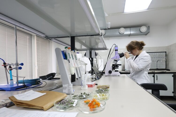 Повысить квалификацию по лекарственному растениеводству можно в Бурятской ГСХА