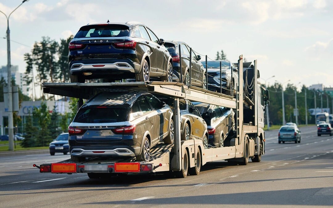 Фото: Tricky_Shark / Shutterstock / FOTODOM