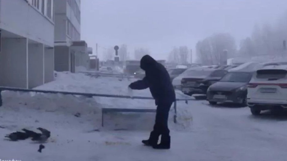    В Сургуте ищут любителя птиц, чтобы выписать ему штраф за антисанитарию во дворе