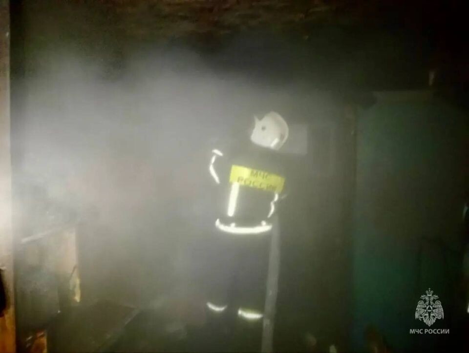    Пожар в Змеиногорском районе. Источник: МЧС России по Алтайскому краю