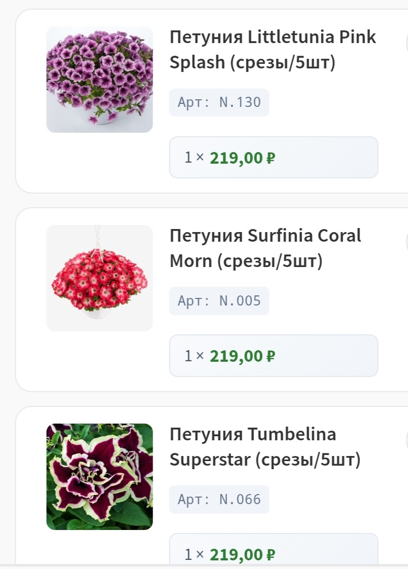 Вот такие красотки заказала срезами. Сама буду укоренять