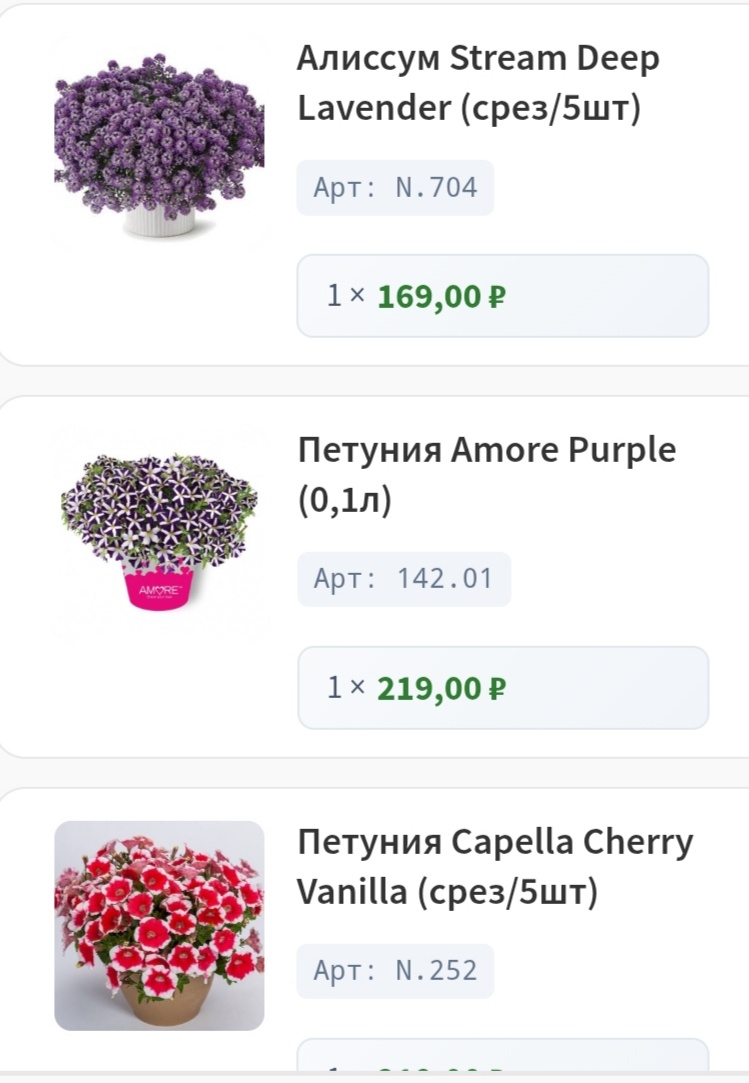 Попробую новый алиссум. Здесь петуния аморе в стаканчике