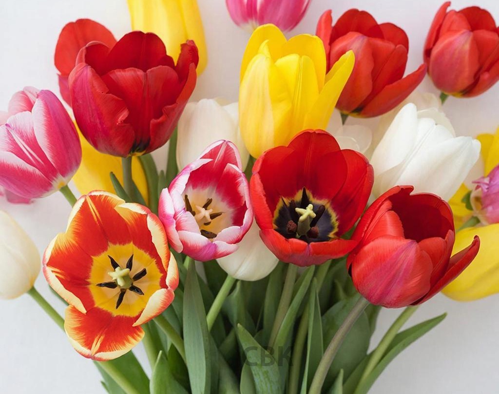 Фото из архива «Искры»