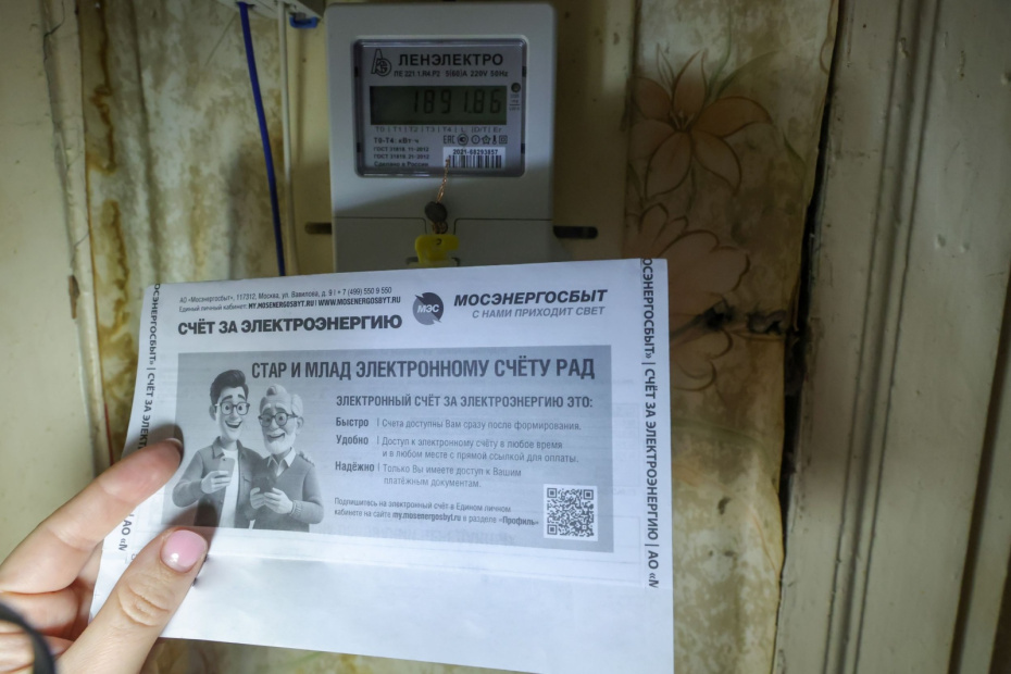    Наталья Шатохина/NEWS.ru