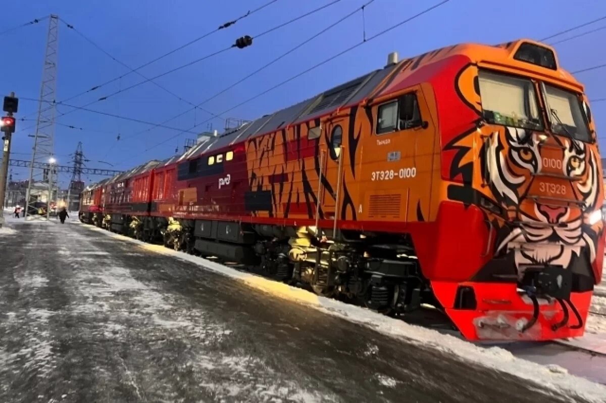    Локомотив с тигриной мордой заметили в Новосибирске