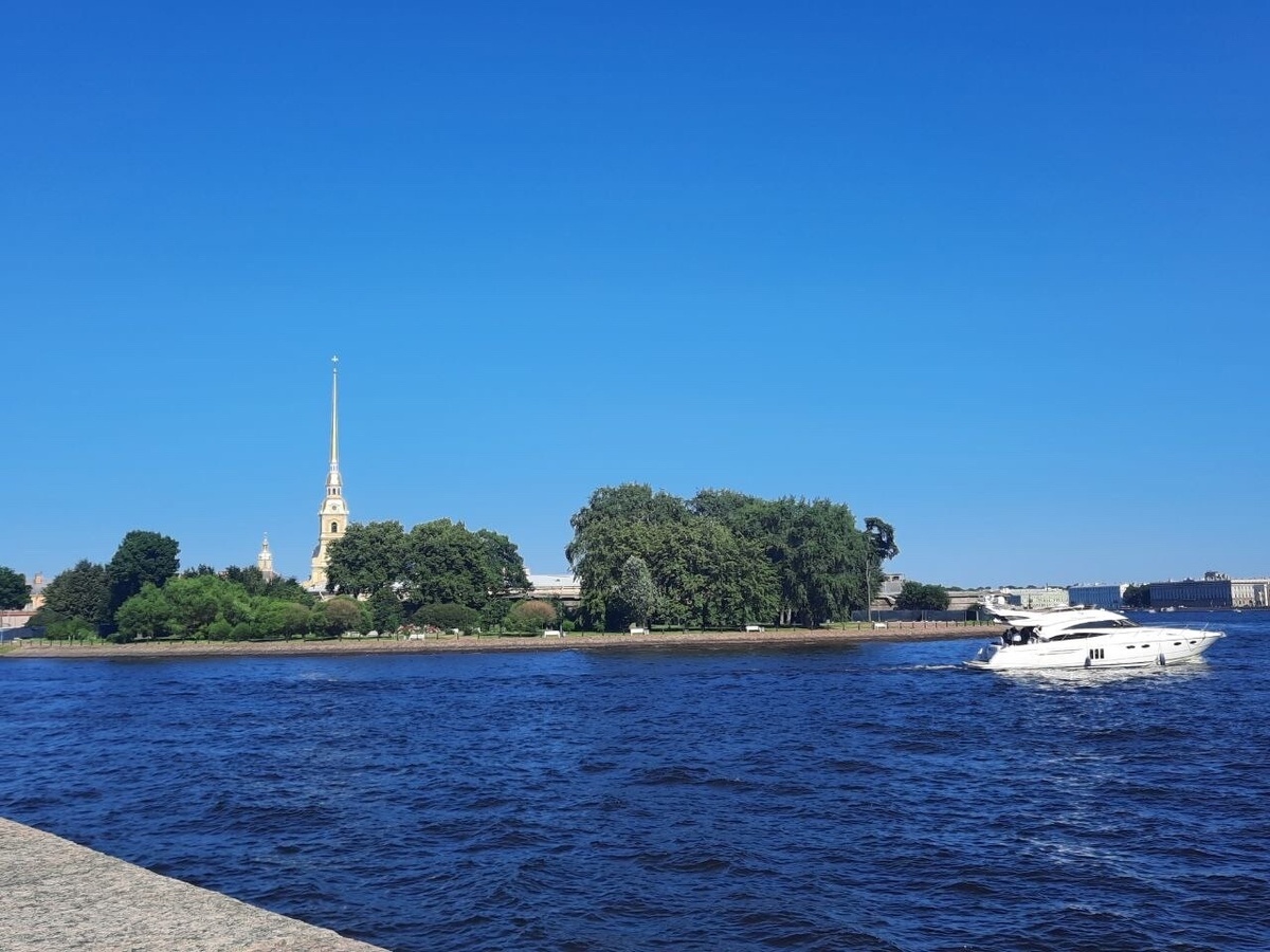     Фото: Бриф 24