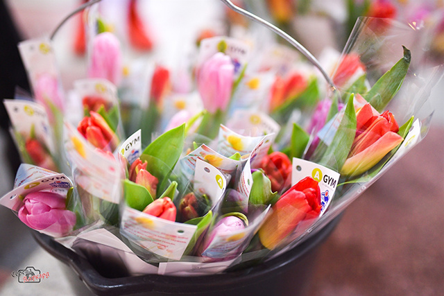 Афиша праздничных мероприятий в Тверской области к Международному женскому дню