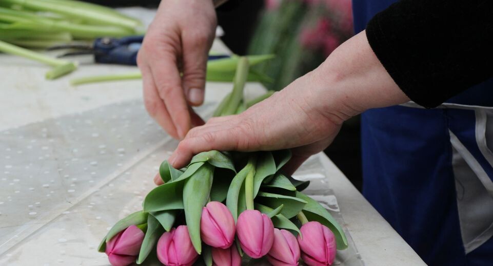    Медиасток.рф