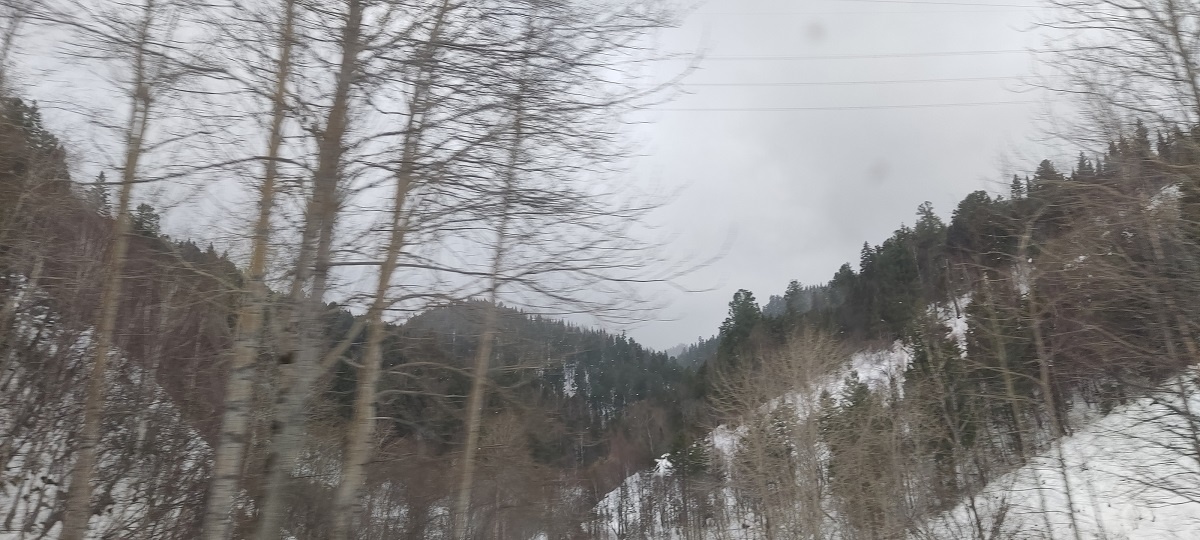 Честно, пытался сосчитать выходящие к Байкалу, такие вот ущелья. Но где-то на тридцатом сбился и бросил эту глупую затею. 