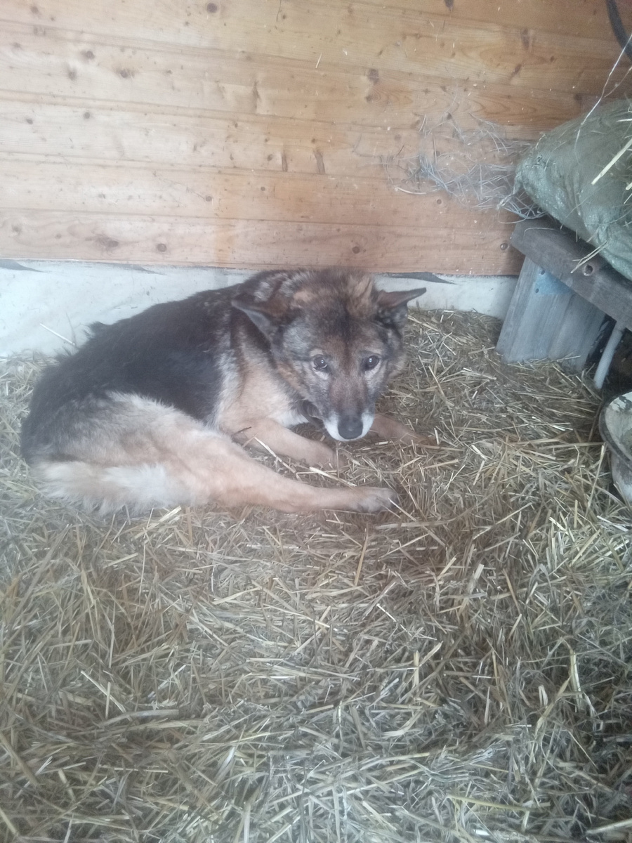 Фото автора. 