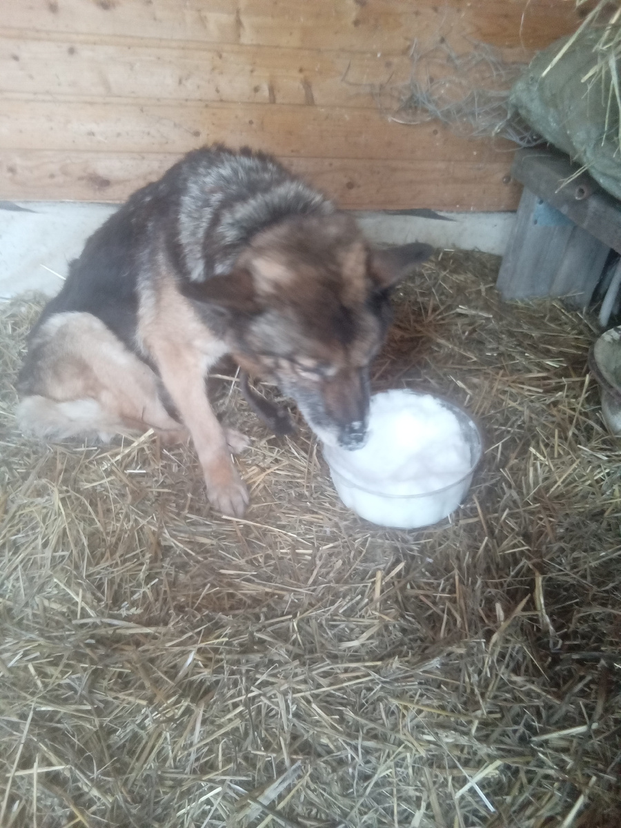 Фото автора. 