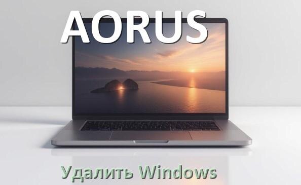 
Как с ноутбука AORUS удалить Windows 11 и 10 полностью