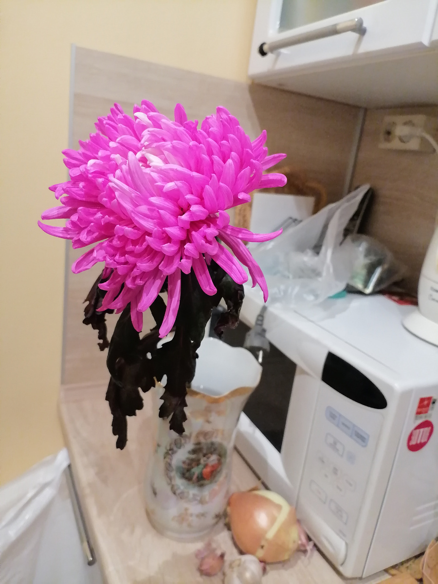 Помочь автору: Сбербанк по телефону +79108494731