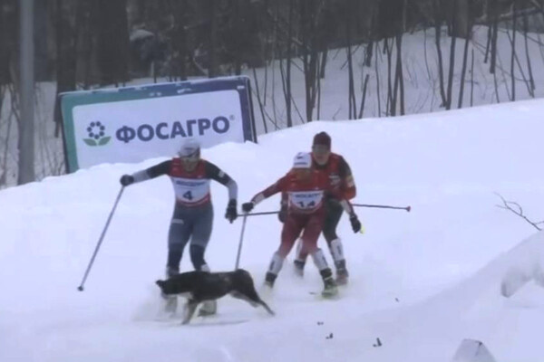 Кадр из траснялции   📷