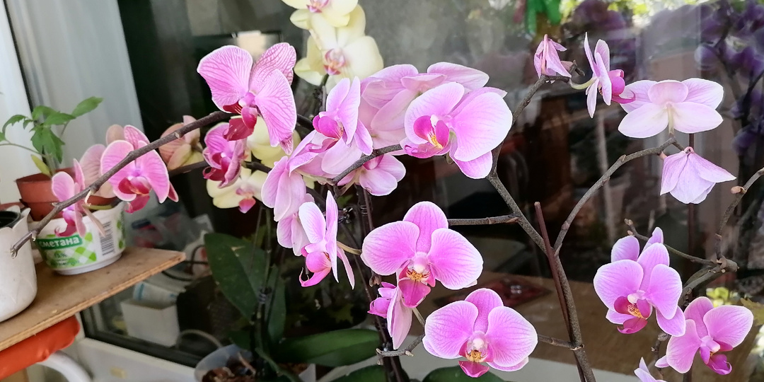 Все не так уж и плохо. Принимаю поздравления