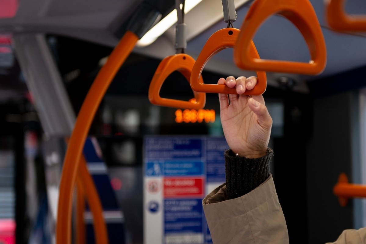    Фото: freepik. com