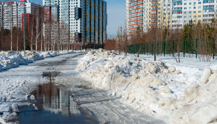 8 марта вспоминают  святых Матроны Московской и Поликарпа Смирнского. В народе — Поликарпов день. Фото: 1MI