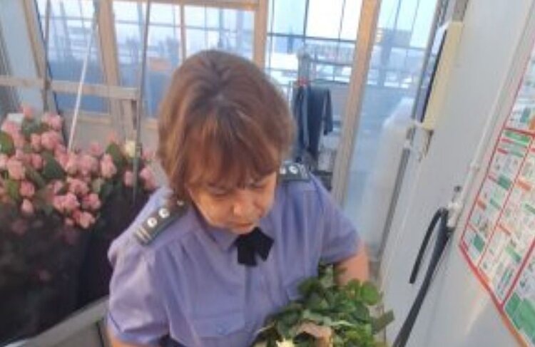 К 8 марта миллионы цветов из калужских оранжерей порадуют россиянок