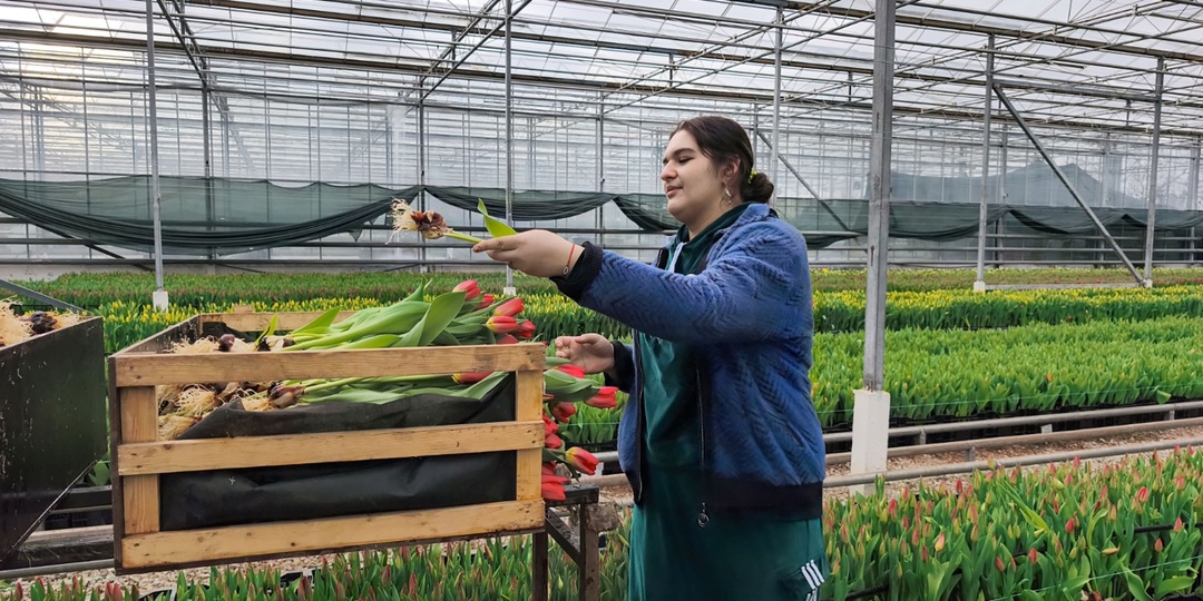 Мартовский срез: как развивается цветочный бизнес в Центральной России