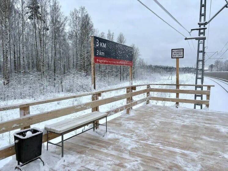     Сейчас проводят техническое обслуживание электропоездов «Ласточка». Фото: пресс-служба АО «СЗППК»