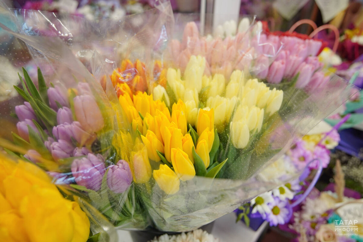 Фото: © Владимир Васильев / «Татар-информ»