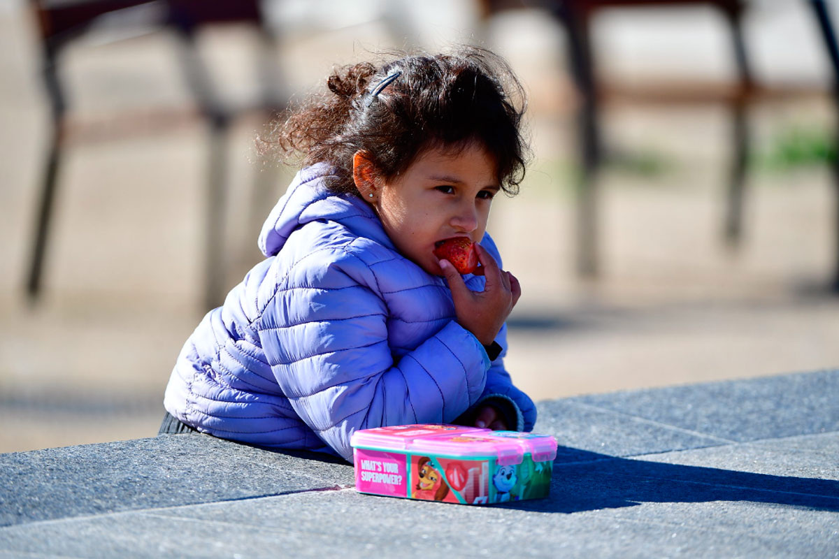 Если они могут быть такими же, как мы, значит, мы не уникальны