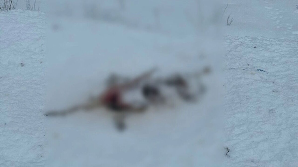   vk.com/wall-235294901_896