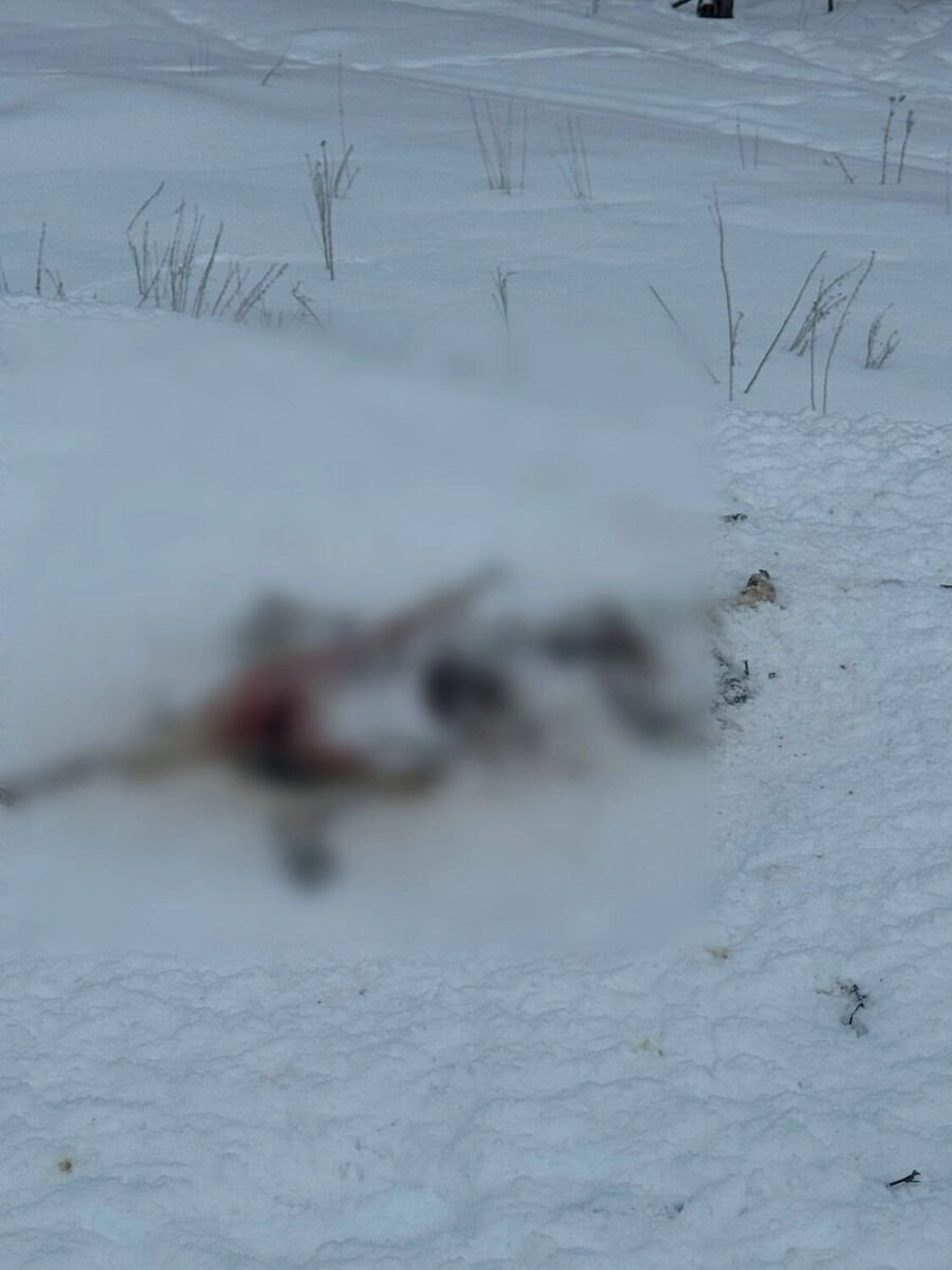   vk.com/wall-235294901_896