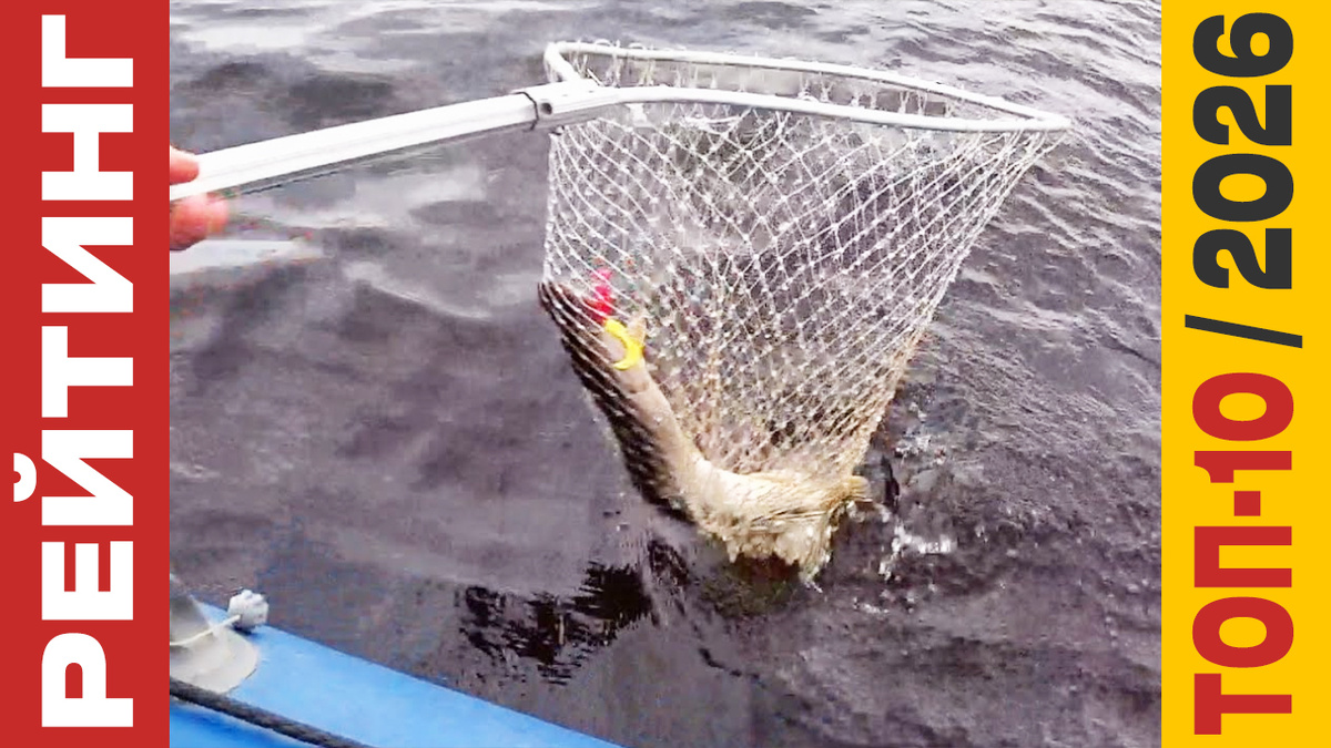 ТОП-10 Подсаков для рыбалки 2026 года: Рейтинг лучших моделей