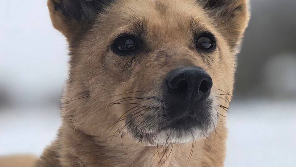 Скромная девочка затерялась в недрах приюта