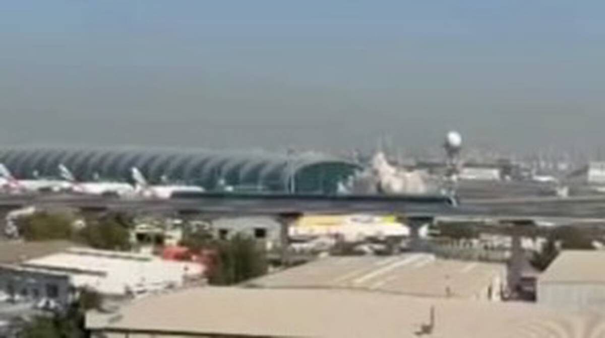    Фото: соцсети