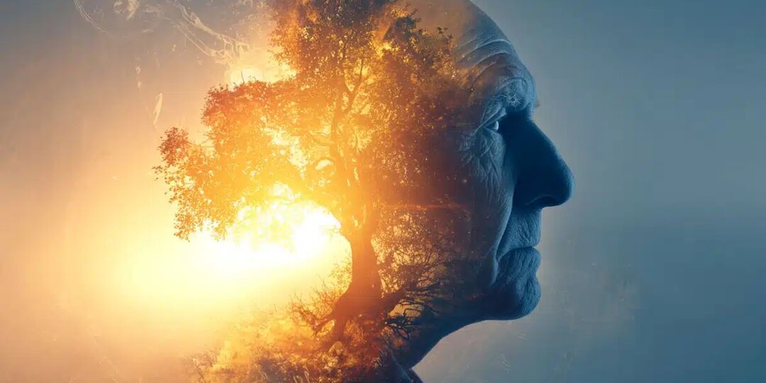 Ученые выяснили: отношение к возрасту может замедлять старение мозга