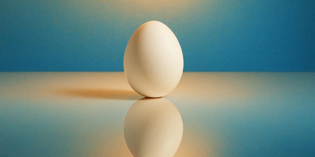 Иногда качество жизни стоит всего 2 яйца