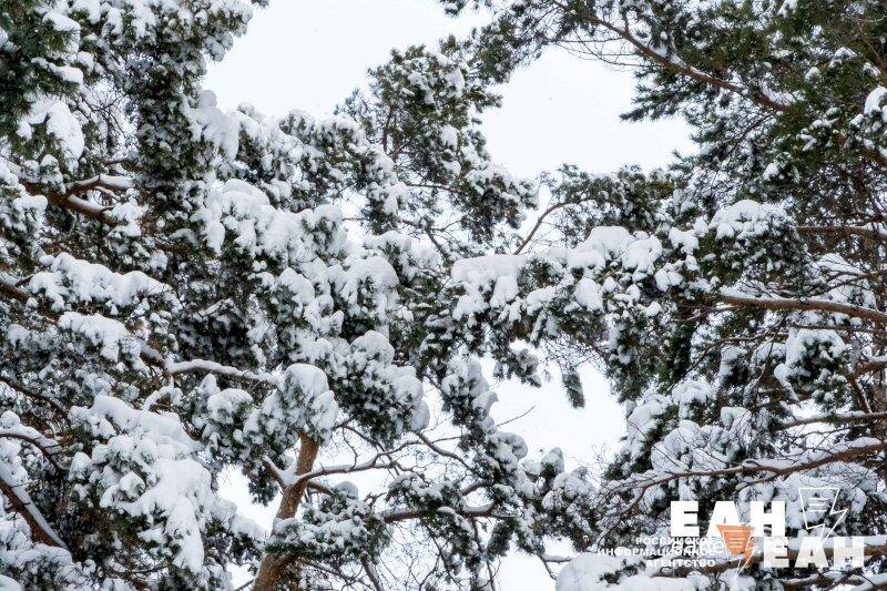 Предстоящая неделя в Екатеринбурге будет морозной