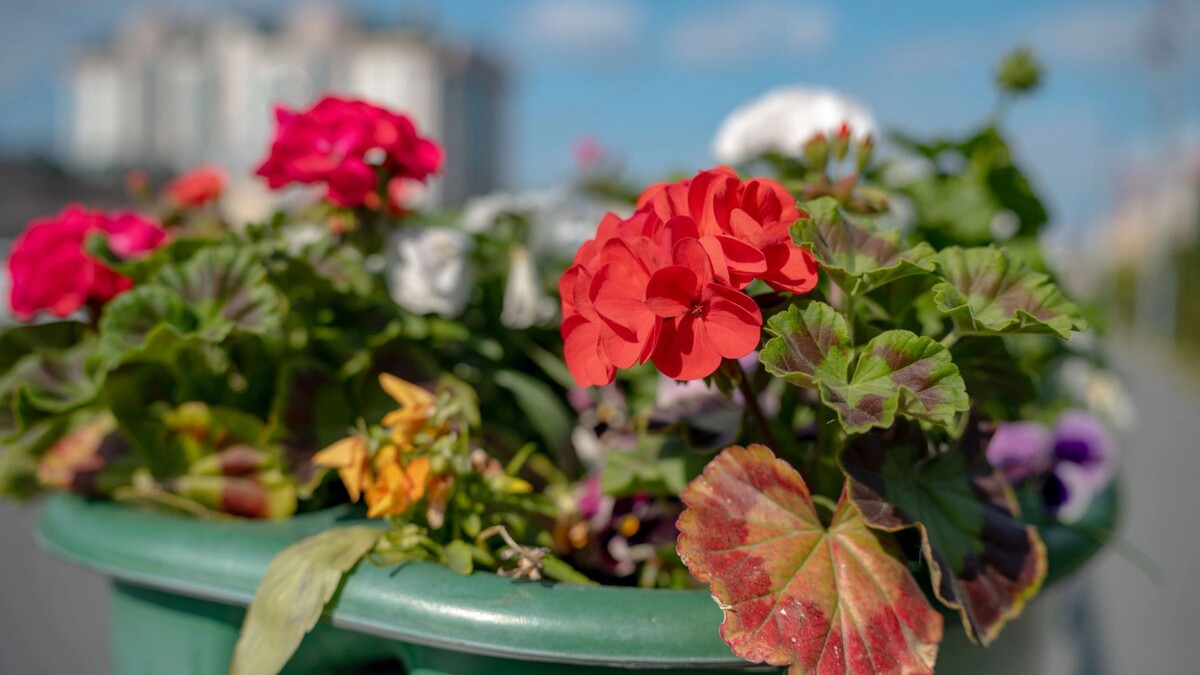    Фото: Сергей Зубков / «Ямал-Медиа»