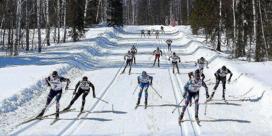 Собаки бросились под ноги лыжницам на чемпионате России