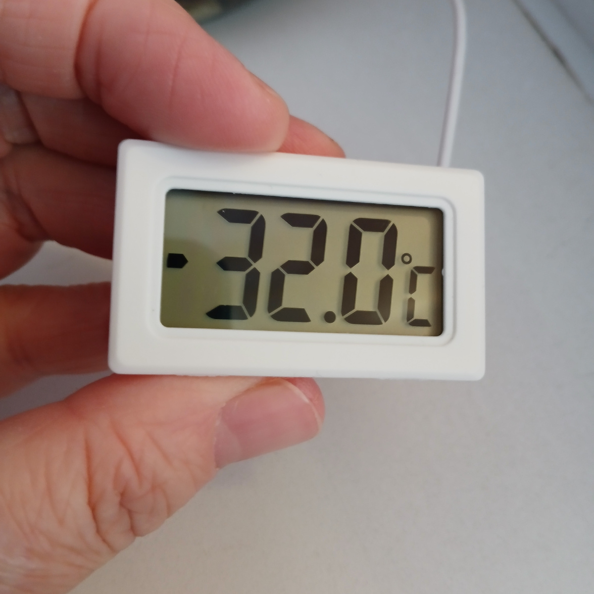 "Нас утро встречает прохладой..." (с)