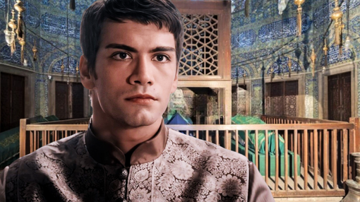 Вся правда о гибели шехзаде Мехмеда. Зараженная наложница или случайность?