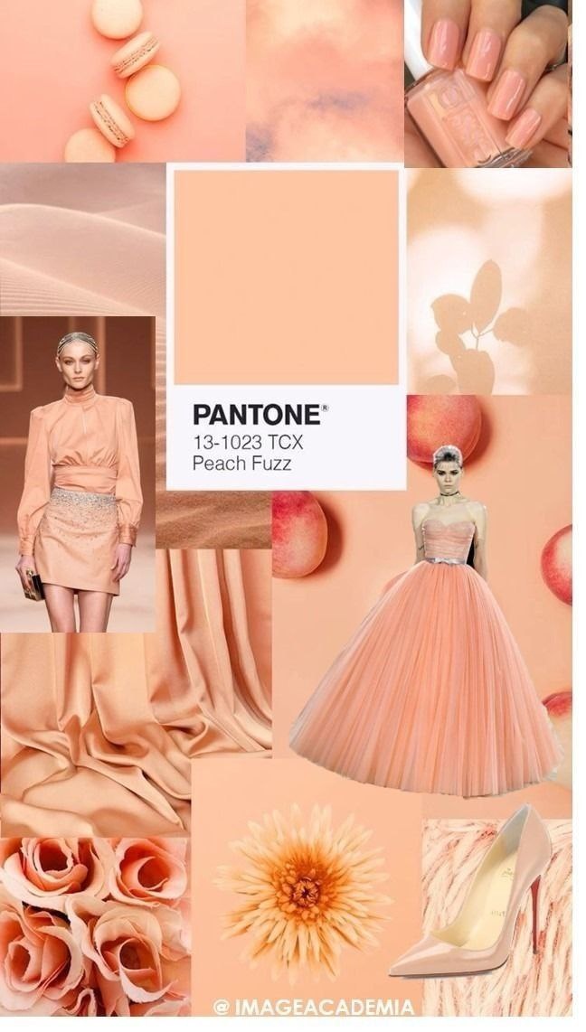 фото из сети