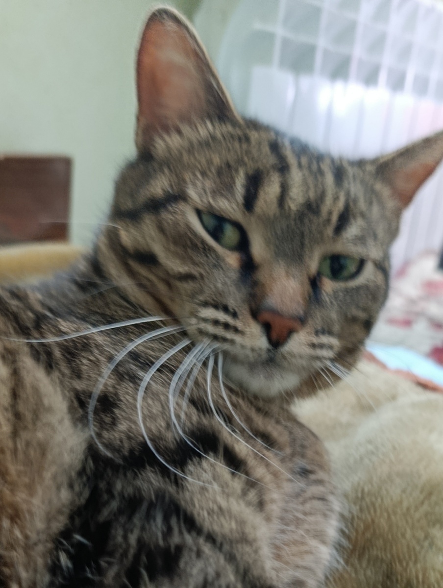 Благодарю за фото Елену Т)