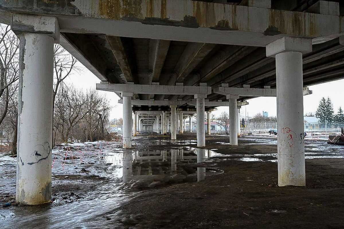     Фото: пресс-служба правительства Белгородской области