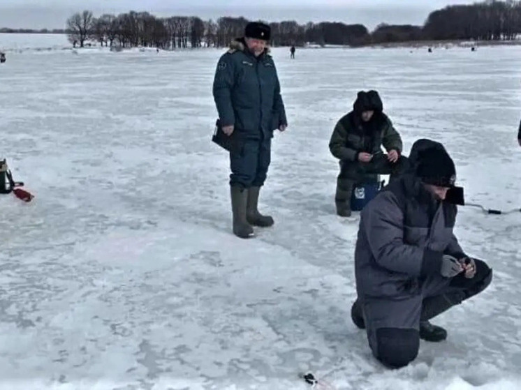     Фото: мчс тульской области