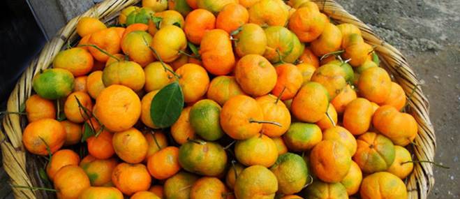 Абхазские мандарины