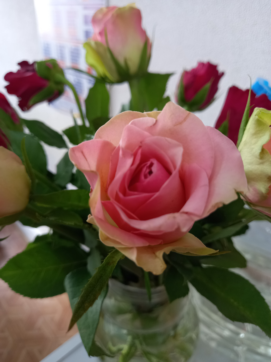 Розы подарили на работе