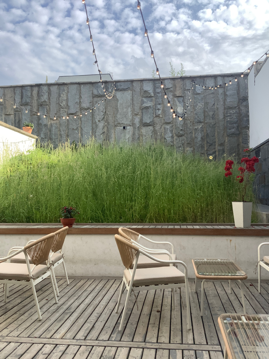 Чудный газон из пакета